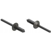 Nylon Blind Rivet - 83074