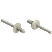 Nylon Blind Rivet - 84074