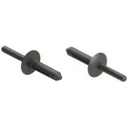 Nylon Blind Rivet - 25074
